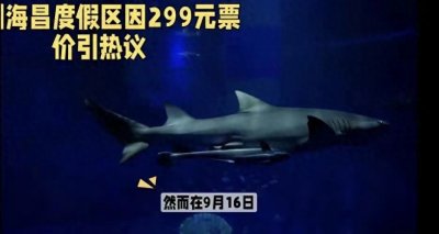 河南郑州海洋馆,299元门票只能看假鲨鱼:景区回复那是科技狠活