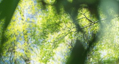 麦当劳失去“巨无霸”;AI三巨头遭反垄断调查