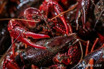 家常活小龙虾怎么处理干净去内脏虾线