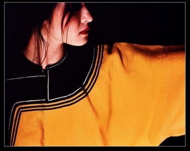 胡因梦:《再见李熬》