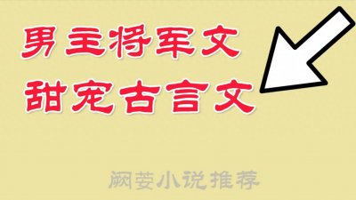 11本完结男主将军文，甜宠文，他是一方枭雄，却甘愿为美人折腰