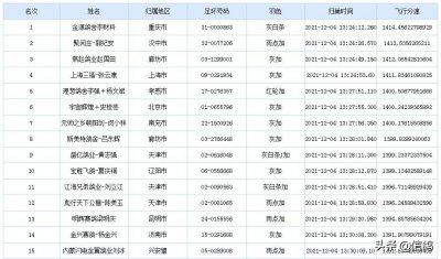 开尔公棚:比赛永无止境,两千羽赛鸽加站赛继续上路,精彩不断