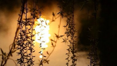 又到柳絮纷飞季节,11首最美柳絮诗词,情似游丝,人如飞絮,真美