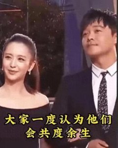 破镜重圆?佟丽娅与陈思诚的离婚新起点揭秘!