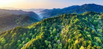 福建:扭住“八大工程”“三多”改革 现代林业再发力