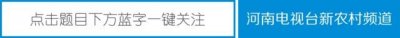 阳春四月 《这里是河南》带您畅游孤柏渡