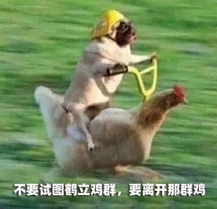 盘点全网笑到肚子疼的搞笑图片,笑死人不偿命~(第九期)