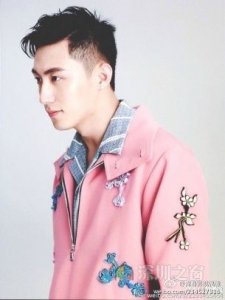 孤芳不自赏黄景瑜饰演何侠 何侠角色介绍最后结局剧透