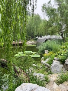 小巧、精致的~柳荫公园