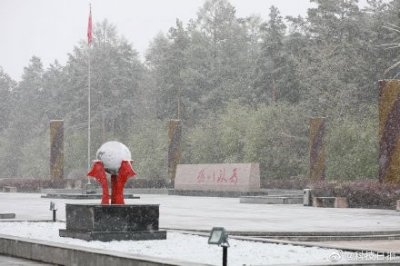 黑龙江漠河:五月飞雪,大雪压青松