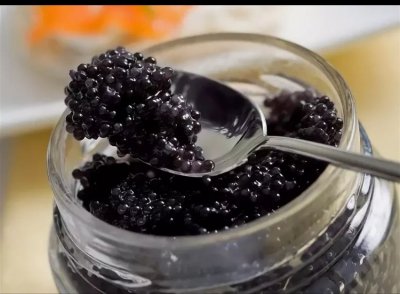 俄罗斯黑鱼子酱的历史:人的美味佳肴,鱼的悲哀