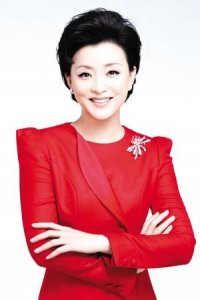 央视前主持杨澜,丈夫又胖又丑只为图财?恩爱有加已是总裁夫妇