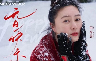 "最悲催"女星田海蓉 : 爹瘫妈亡 , 嫁豪门16年后 , 丈夫也在狱中离世