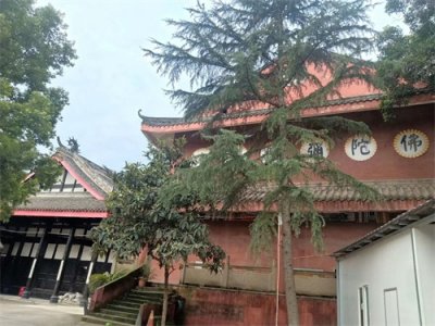 成都龙潭寺的历史和神秘传说