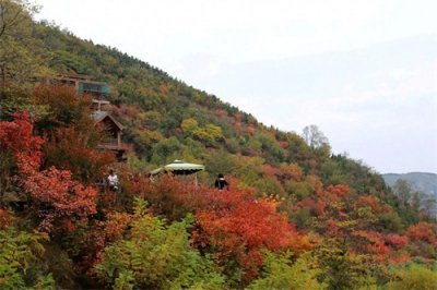 江苏沛县检察院李永建作品《秋闲》