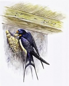 北京历史之秘:你知道秦始皇统一中国后的北京城叫什么名字吗?