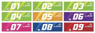 2024-2025全国大众滑雪技术达标赛张家口崇礼站等你来战!