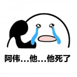 awsl什么意思光是一个awsl就有好几种拼写意思