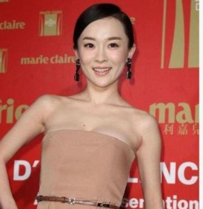 霍思燕个人资料,黄晓明资料