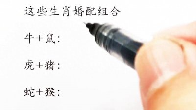 十二生肖生肖婚配组合