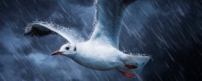 梅雨季节饮食注意事项 梅雨季节食谱