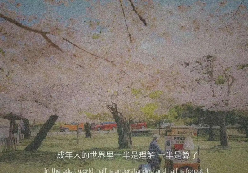 金星简历个人资料(毒舌金星的传奇人生)