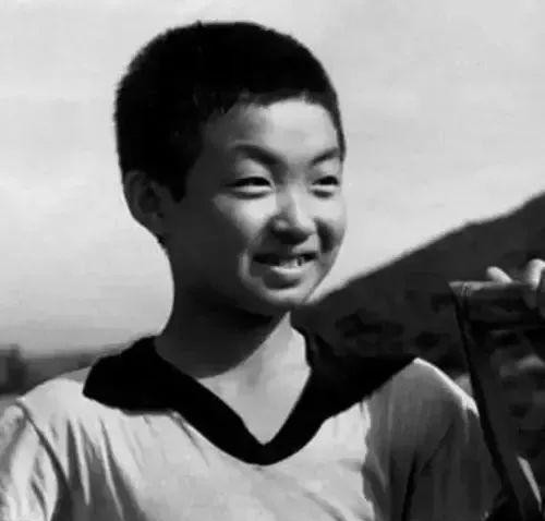 金星简历个人资料(毒舌金星的传奇人生)