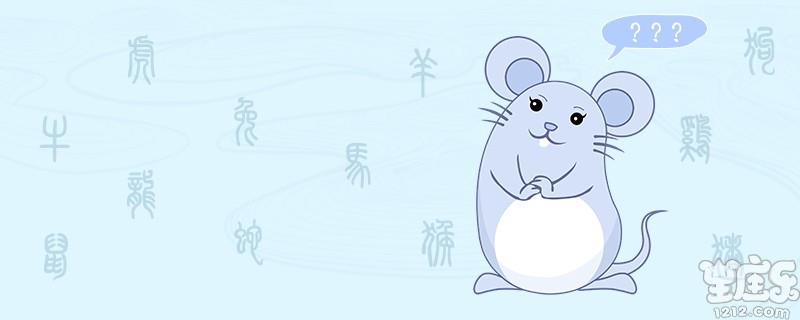 鼠和什么生肖最好.jpg