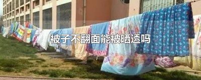 晒被子是套着被套晒还是拿掉 被套怎么晒