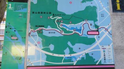 广州南沙18涌湿地公园(万亩的天然大氧巴黄山鲁森林公园)
