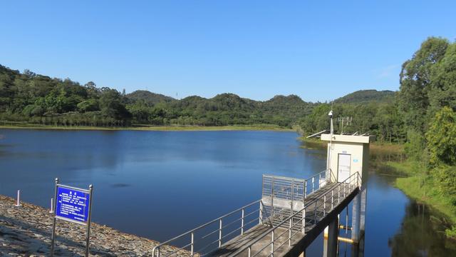 广州南沙18涌湿地公园(万亩的天然大氧巴黄山鲁森林公园)(7)