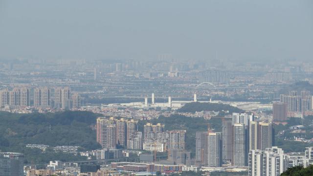 广州南沙18涌湿地公园(万亩的天然大氧巴黄山鲁森林公园)(20)