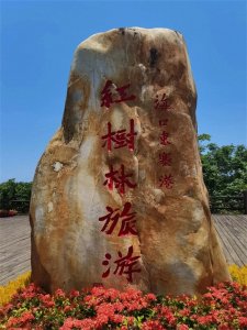 说说含“大”字的成语大世界(待续)