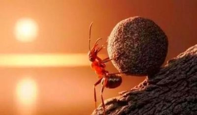 靠山山跑靠人人倒是什么意思(靠山山会倒,靠人人会跑,只有自己最可靠)