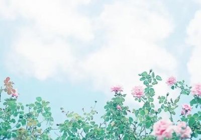 蓝洁瑛是哪位?害成这样的蓝洁瑛说的两人是哪位?