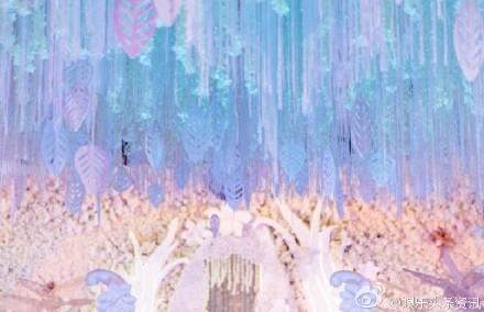 陈晓陈妍希大婚现场唯美图片