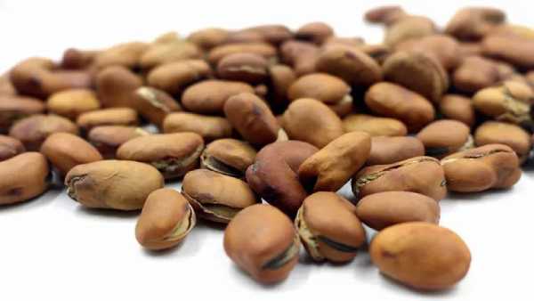 蚕豆热量高吗 蚕豆热量高吗