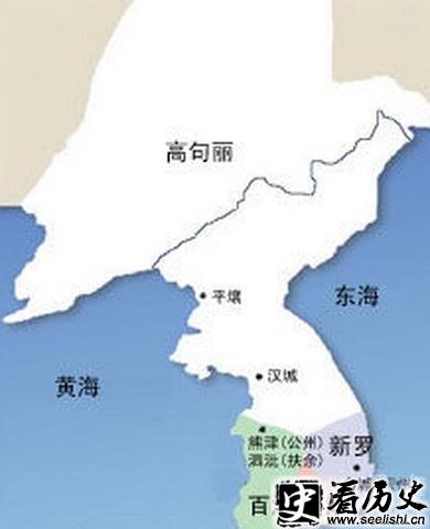 唐灭高丽之战图片