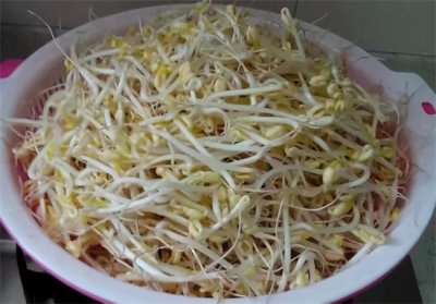 ​自己发绿豆芽怎么发 在家发豆芽，4天就能吃，方法教给你，制作简单，好吃营养