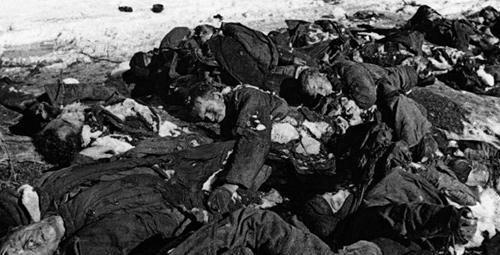 二战各个国家死亡人数，两个法西斯国家都是战斗死亡人数多于平民