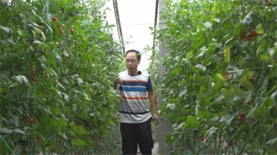 ​平度三合山，昔日战场如今百果飘香