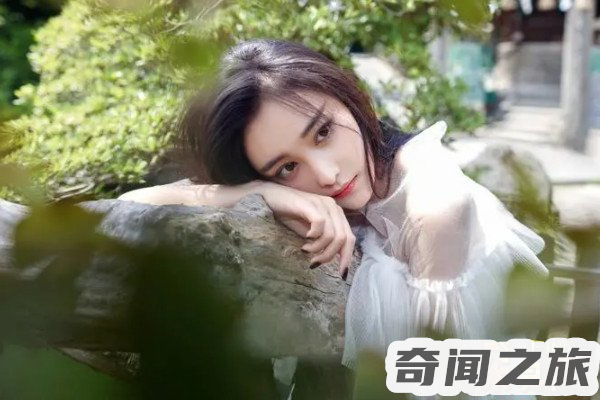 张馨予个人信息资料(家庭事业双丰收)(1)_