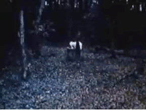 三个版本的贞子忍不住笑了（贞子的女演员居然长这样）(29)