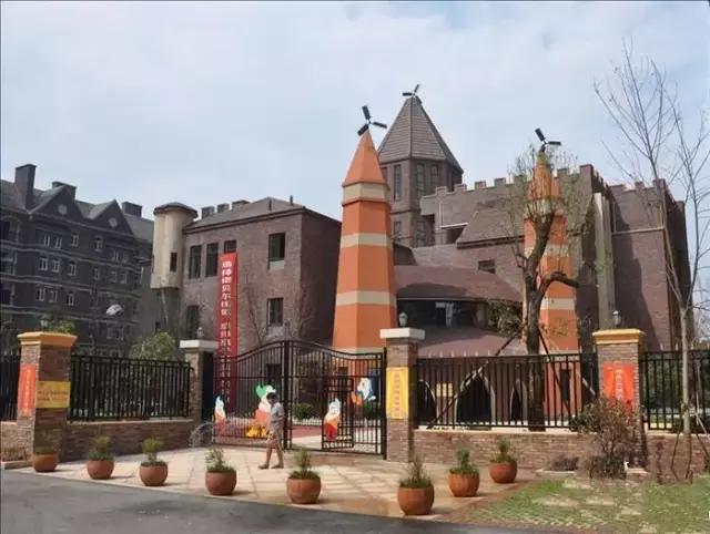 长沙四大贵族私立学校(长沙这12所贵族学校)(6)