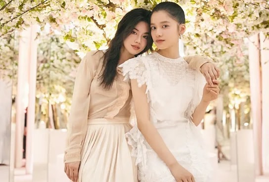 网络图片(侵删)