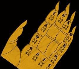 达摩一掌经介绍(达摩祖师绝学一掌经断前世今生)