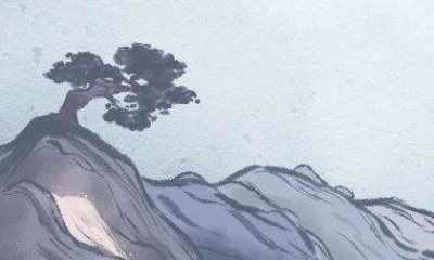 ​四大镇宅之树罗汉松图片,罗汉松树长什么样