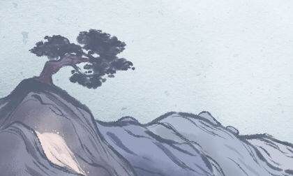 四大镇宅之树罗汉松图片,罗汉松树长什么样图1