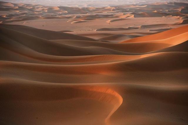 野外探险发现一只甲虫(罗布泊发现轿车大的神秘甲虫)(9)