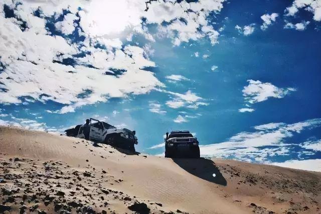 野外探险发现一只甲虫(罗布泊发现轿车大的神秘甲虫)(6)